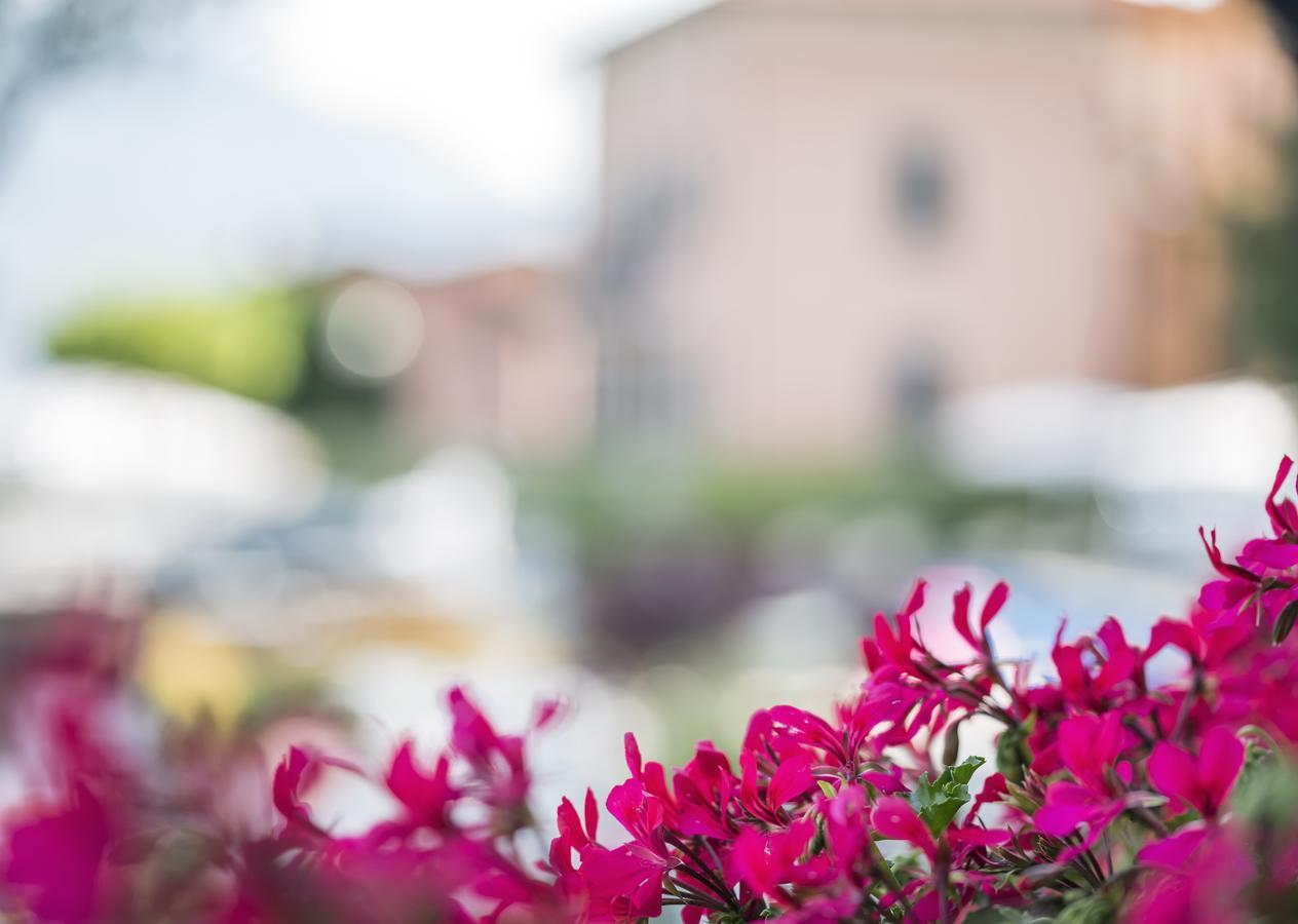 Crotto Del Misto Hotel Lezzeno Buitenkant foto